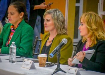 Presentan al sector hotelero proyecto de paseo turístico del Mercado Zaragoza