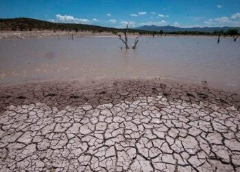 Arranca 2023 y sequía ya afecta a 80% del territorio nacional, advierte el SMN