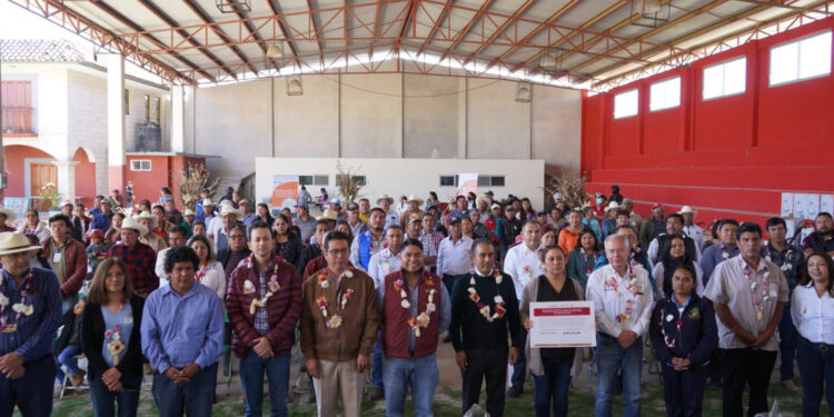 Apoya Agricultura siembra de maíz nativo en comunidades indígenas de Tepoztlán, Morelos