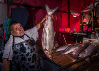 Invita Agricultura a consumir pescados y mariscos durante la temporada de Cuaresma y Semana Santa