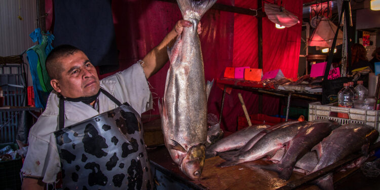 Invita Agricultura a consumir pescados y mariscos durante la temporada de Cuaresma y Semana Santa