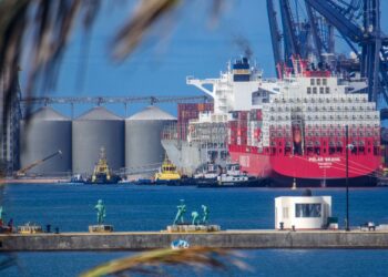 Rompe México barrera de los 50 mil millones de dólares en exportaciones agroalimentarias durante 2022