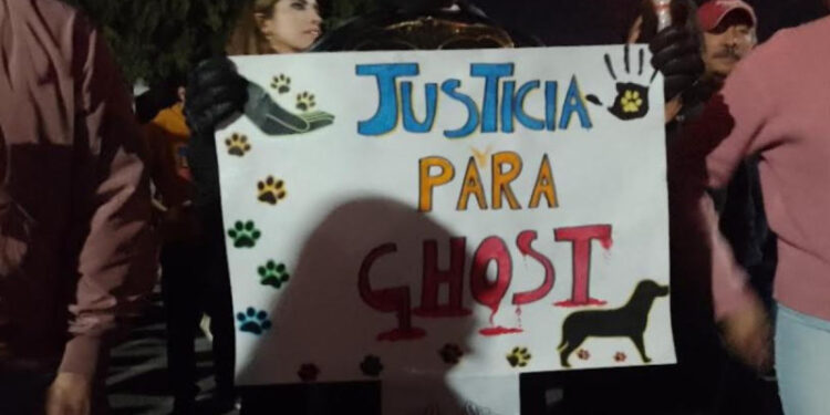Justicia para “Ghost”