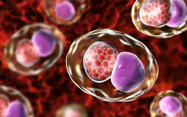 INCREMENTARON INFECCIONES SEXUALES DURANTE LA PANDEMIA: SALUD COAHUILA