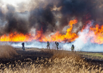 COAHUILA TRABAJA EN LA PREVENCIÓN DE INCENDIOS FORESTALES, SEÑALA MARS