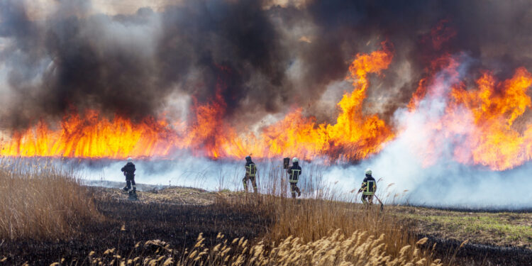 COAHUILA TRABAJA EN LA PREVENCIÓN DE INCENDIOS FORESTALES, SEÑALA MARS