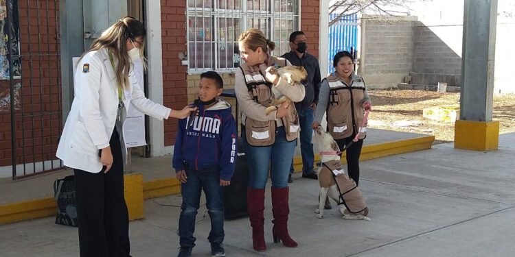 Prometen atender a las mascotas en las colonias