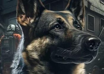 ¡Proteo regresará a México como un héroe! Sedena repatriará su cuerpo al país