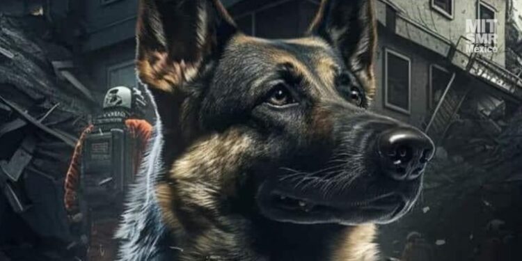 ¡Proteo regresará a México como un héroe! Sedena repatriará su cuerpo al país