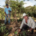El agricultor Alfredo Monje Bonilla, de 46 años, habla sobre los conocimientos de agricultura de conservación que se encuentra implementando en sus terrenos en Cerro Grande, La Virtud, Lempira Honduras.  “Con el programa de conservación de suelos he aprendido que no debo de quemar. Hay que cubrir el suelo en vez de desnudarlo para conservar el agua en estos lugares tan secos”, dice.

Smallholder farmer, Alfredo Monje Bonilla, 46, speaks about the knowledges of Conservation Agriculture he has learnt and is implementing on his fields in Cerro Grande, La Virtud, Lempira, Honduras. “With the program of soil conservation I have learnt not to burn. We have to cover the soil instead of getting the soil naked to conserve water in places as dry as here”, he says.
