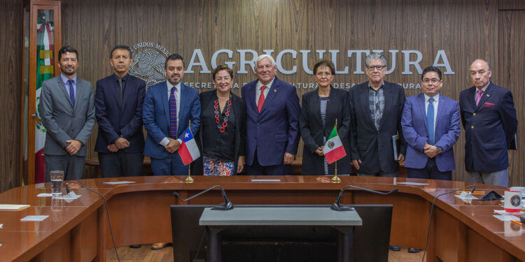 Revisan México y Chile protocolos sanitarios para incrementar comercio agroalimentario bilateral