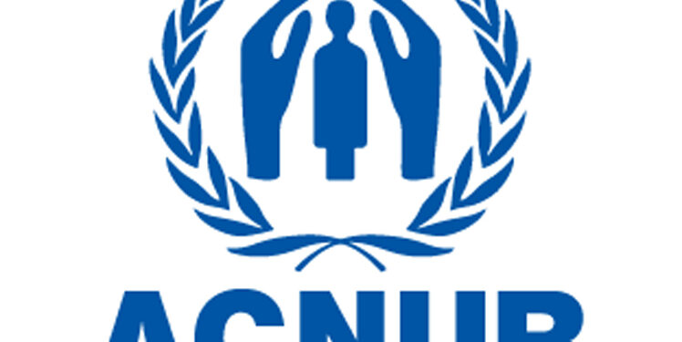 ACNUR insta a EE. UU. a no implementar una propuesta que obstaculizaría el acceso al asilo