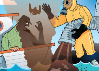 Leyes ambientales son letra muerta en Bahía de Yavaros en Sonora