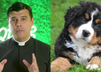 «No valen más que un humano», sacerdote lanza polémico TikTok sobre lomitos y michis