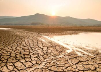 Alertan por posible sequía en el norte del país