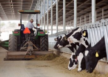 Trabajan Agricultura e industria de la leche en normalización, investigación, sustentabilidad y fomento al consumo