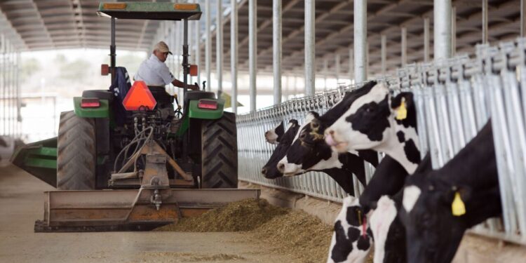 Trabajan Agricultura e industria de la leche en normalización, investigación, sustentabilidad y fomento al consumo