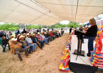 APOYO AL CAMPO CON SEMILLA DE SORGO FORRAJERO