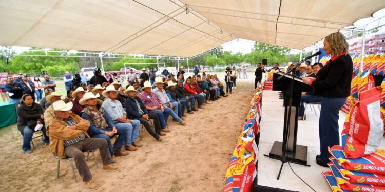 APOYO AL CAMPO CON SEMILLA DE SORGO FORRAJERO