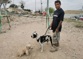 Las mascotas son como parte de la familia