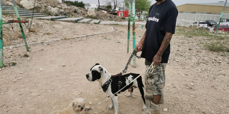 Las mascotas son como parte de la familia