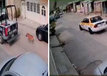 Policías en Chiapas maltratan a perro, además detienen a taxista que los grabó