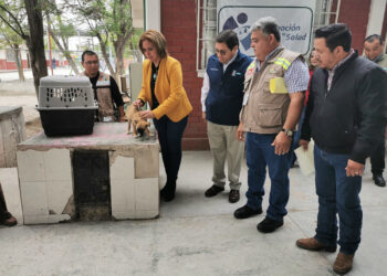 Coahuila con 27 años sin algún caso de Rabia