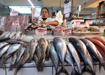 Recomienda Profeco consumir especies marinas económicas en Cuaresma