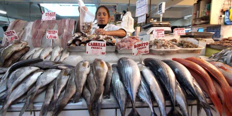 Recomienda Profeco consumir especies marinas económicas en Cuaresma