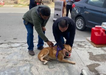 ACTIVA SALUD COAHUILA CRUZADA CONTRA LA RICKETTSIA