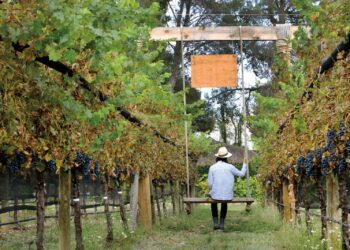 COAHUILA, EN EL TOP DE LAS 6 MEJORES REGIONES VINÍCOLAS DEL MUNDO PARA VISITAR EN 2023