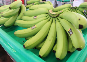 Crecen a dos dígitos exportaciones agropecuarias y pesqueras de México en febrero