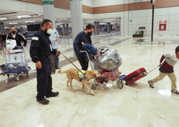 Fortalece Agricultura acciones de inspección durante periodo vacacional de Semana Santa