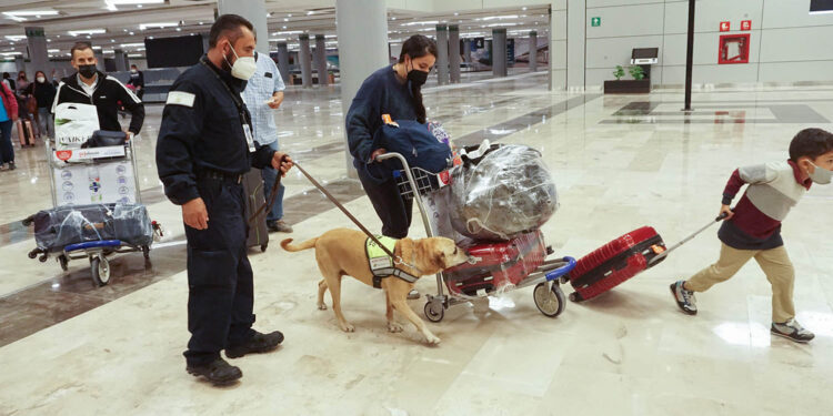 Fortalece Agricultura acciones de inspección durante periodo vacacional de Semana Santa