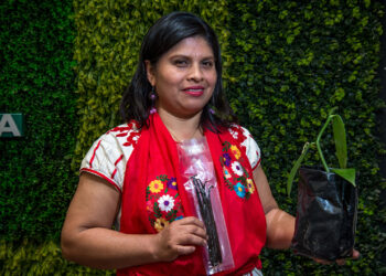 Vainilla mexicana, con amplio potencial productivo y preferencia en los mercados internacionales: Agricultura