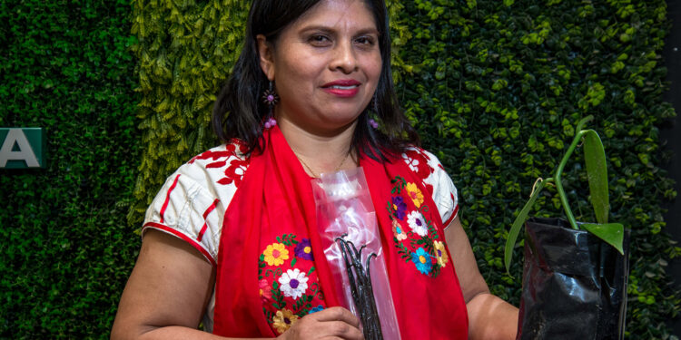 Vainilla mexicana, con amplio potencial productivo y preferencia en los mercados internacionales: Agricultura