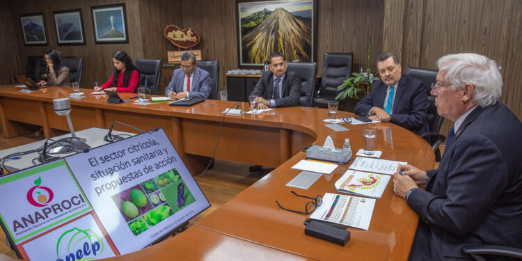 Refuerzan Agricultura y citricultores acciones para combatir plagas y enfermedades en cítricos, principalmente HLB