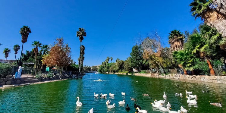 México, sede de reuniones internacionales de alto nivel para combatir influenza aviar en América