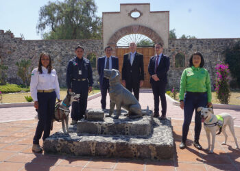 Amplía Agricultura colaboración con Centroamérica y el Caribe para proteger abasto de alimentos