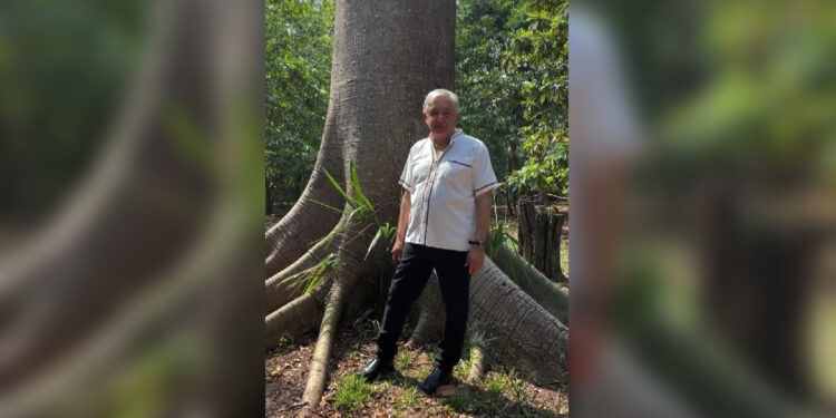 Advierte AMLO a oposición que no podrán prohibir las mañaneras