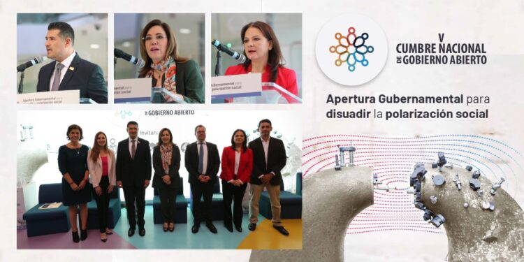 INSUSTITUIBLE LA FUNCIÓN DEL INAI