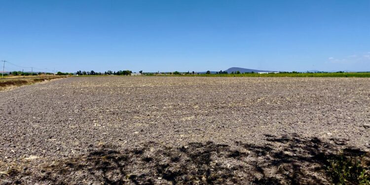 SEQUÍA EN TRES CUARTAS PARTES DEL TERRITORIO AMENAZA LA PRODUCCIÓN AGRÍCOLA NACIONAL