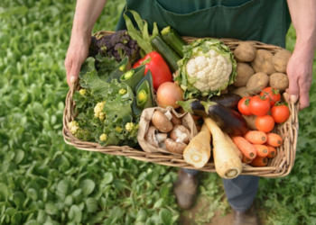 SE DESPLOMA SALDO COMERCIAL AGROALIMENTARIO EN MÁS DE SEIS MIL MILLONES DE DÓLARES EN DOS AÑOS
