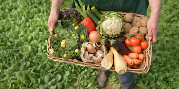 SE DESPLOMA SALDO COMERCIAL AGROALIMENTARIO EN MÁS DE SEIS MIL MILLONES DE DÓLARES EN DOS AÑOS