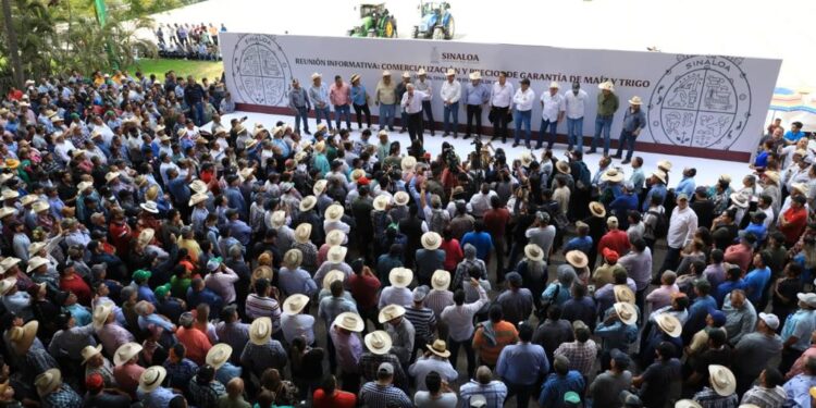 PROTESTAN PRODUCTORES DE MAÍZ DE SINALOA, POR INSUFICIENTE PRECIO DE GARANTÍA; DESFILAN MILES CON MAQUINARIA EN CULIACÁN