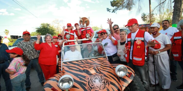 La «tigremanía» se apodera de la región Centro