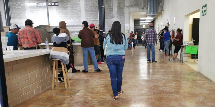 Sin ninguna modificación el Decreto para regularizar vehículos “chocolate”