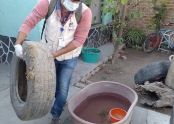 Solo con patio limpio se evita la propagación del Dengue