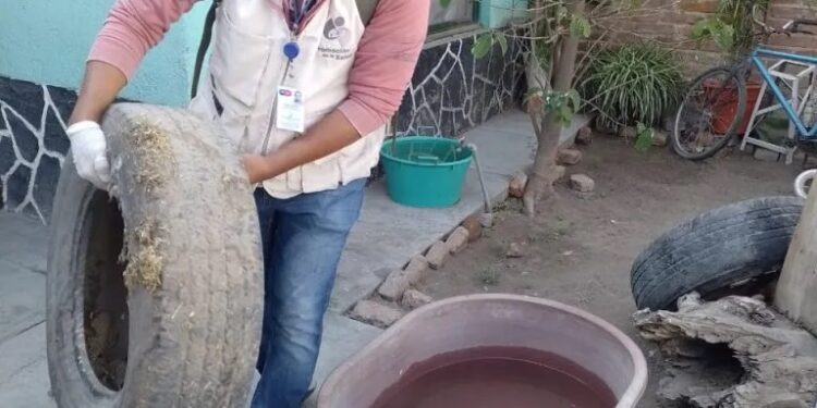 Solo con patio limpio se evita la propagación del Dengue