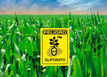 Inaceptables los reclamos al decreto presidencial sobre maíz transgénico y glifosato: Subsecretario Víctor Suárez